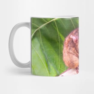 Tarsier, Bohol, Philippines Mug